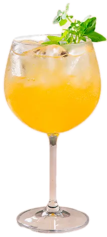 Gin Passion, como servido na casa