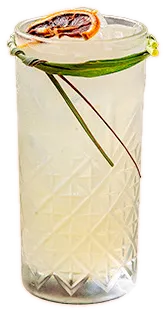 Tom Collins, como servido na casa